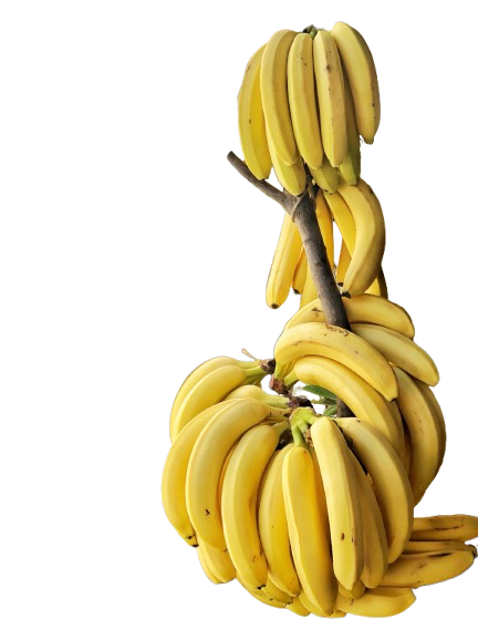 Fruteria La Bonita